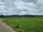 Land for Sale in Puhulwella Matara ( පුහුල්වැල්ල මාතර )