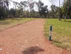 Land for Sale in පුලියංකුලම