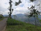 Land for Sale in Pundaluoya