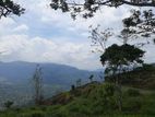 Land for sale in Pundaluoya