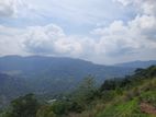 Land for Sale in Pundaluoya