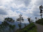 Land for sale in Pundaluoya