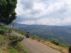 Land for Sale in Pundaluoya