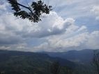 Land for sale in Pundaluoya