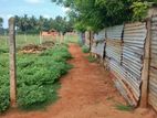 Land for Sale in Punnalaikkadduvan