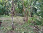 Land for Sale in Purana Mirigama