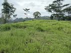 Land for Sale in Pussallawa