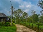 Land for Sale in Pussallawa