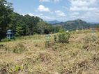 Land for Sale in Pussallawa