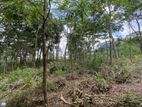 Land for Sale in Pussallawa