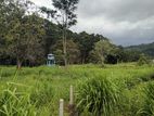 Land for Sale in Pussallawa