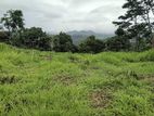 Land for Sale in Pussallawa