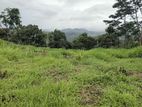 Land for Sale in Pussallawa