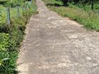 Land For Sale In Pussellawa Delta Estate