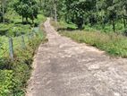 Land for Sale in Pussellawa Delta Estate