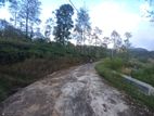 Land for Sale in Pussellawa Delta Estate