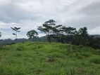 Land For Sale in Pussellawa