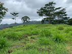 Land for Sale in Pussellawa