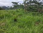 Land for Sale in Pussellawa