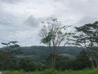 Land for sale in Pussellawa
