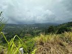 Land For Sale In Pussellawa