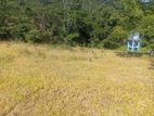 Land For Sale In Pussellawa