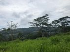 Land for Sale in Pussellawa