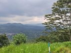 Land for sale in Pussellawa