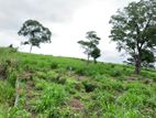 Land for Sale in Pussellawa