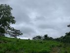 Land for Sale in Pussellawa