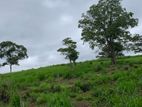 Land for Sale in Pussellawa