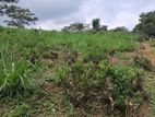 Land for Sale in Pussellawa
