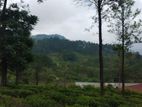 Land for Sale in Pussellawa