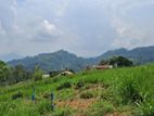 Land for Sale in Pussellawa