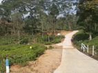 Land for Sale in Pussellawa