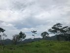 Land for sale in pussellawa
