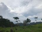 Land for sale in pussellawa