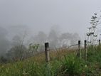 Land for Sale in Pussellawa
