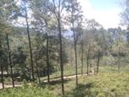 Land for Sale in Pussellawa