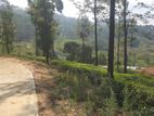 Land for Sale in Pussellawa