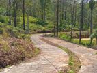 Land for Sale in Pussellawa