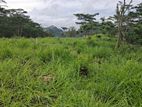 Land for sale in Pussellawa wahurupitiya