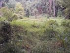 Land for Sale in Pussellawa Wahurupitiya