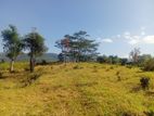 Land for sale in Pussellawa Wahurupitiya