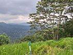 Land for Sale in Pussellawa Wahurupitiya