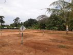 Land for Sale in Puttalam