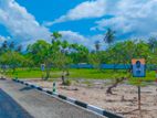 Land for Sale in Puttalam