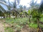 Land for Sale in Puttalam