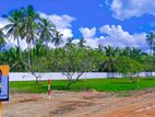 Land for Sale in Puttalam