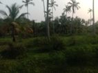 Land for Sale in Puttalam